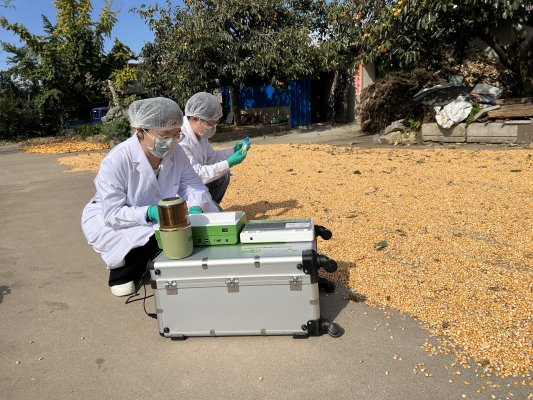 科技賦能農業(yè) 威海海洋職業(yè)學院教師研發(fā)玉米“解毒”新技術，校企合作助力秋糧減損增效